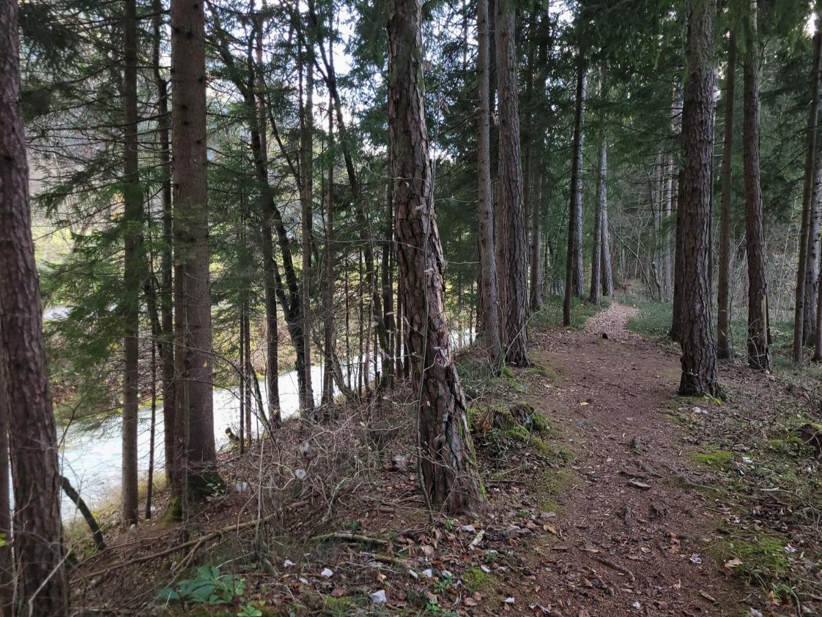 Apartma M&J Mojstrana Bagian luar foto